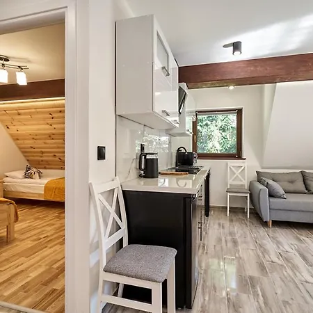 Apartamenty U Kamila Zakopane Exterior photo